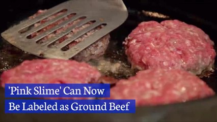 I'll Have Two Pink Slime Burgers And Some Fries