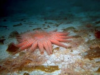 포항출장안마 -여대생！Ø7Øa7575aØØ69【CN4989카톡】포항전지역출장마사지포항출장ko안마sd포항출장마사지'오피걸★●◎섹시한와꾸출장여대생