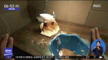 [투데이 영상] 아기자기한 스톱모션의 매력