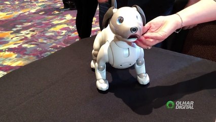OLHAR DIGITAL - AIBO - SONY
