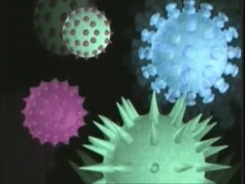 BAGISIKLIK SISTEMI NASIL CALISIYOR _ ICIMIZDEKI SAVASLARIN CANLI-ANIMASYONLU VIDEOSU