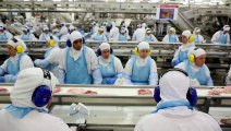 China anuncia tarifas ao frango do Brasil