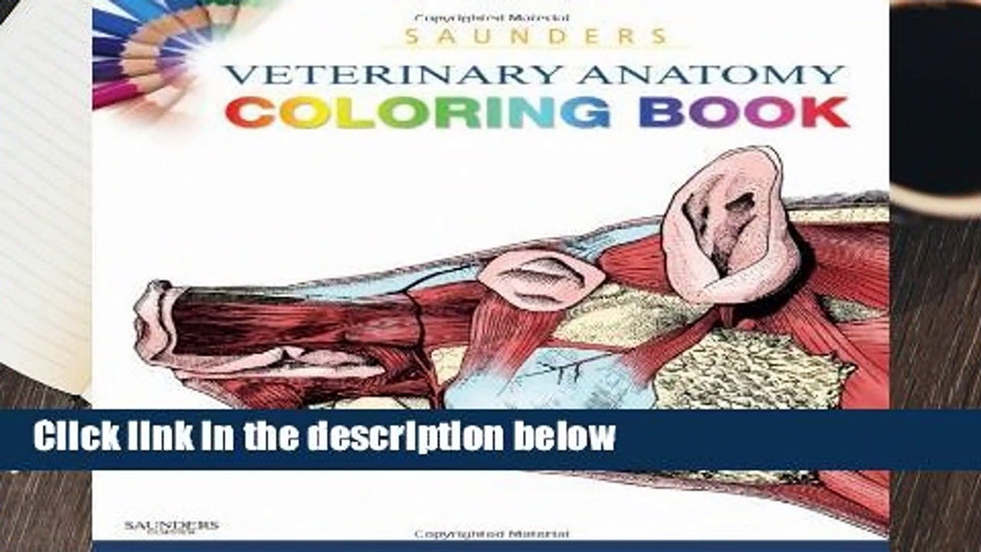 ⁣Saunders Veterinary Anatomy Coloring Book, 1e