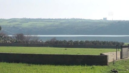 Fevzipaşa Gölü 7 Yıl Sonra Yeniden Doldu