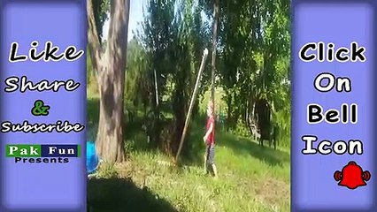 WATCH and TRY TO STOP LAUGHING - Super FUNNY VIDEOS 1