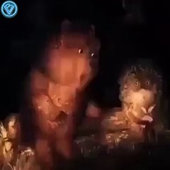 Когда друг приехал с бизнес тренинга