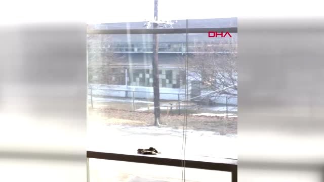 Dha Dış - ABD'de İş Yerine Silahlı Saldırı 5 Ölü