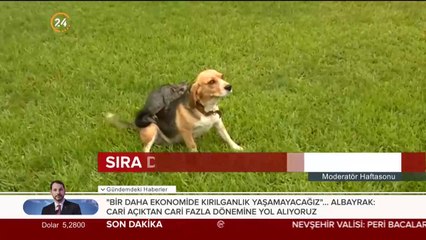 Sıra dışı dostluk