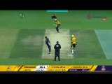 PSL 4 || PSL 2019 3rd Match || Peshawar Zalmi vs Quetta Gladiators  Match Highlights || 14th Feb 2019