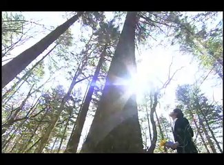 강서오피 ＯＰＳＳ31닷넷 강서건마 강서분수쇼 오피쓰