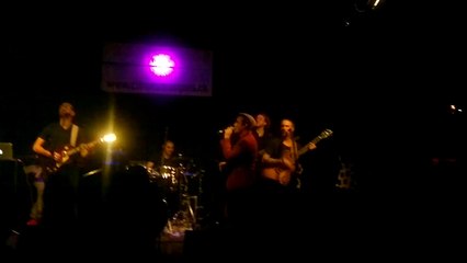 Mystical Faya - Citron Masqués - Yverdon les Bains - Swiss 2019