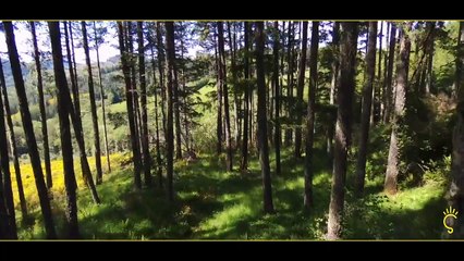 What exactly happens when we bend paper? | Satyawad |