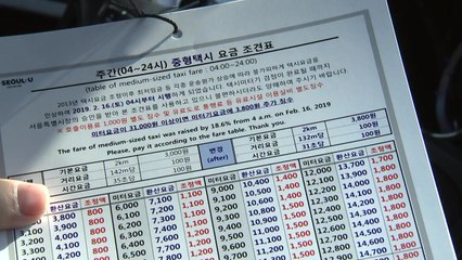 "택시비 인상 부담"...옛 미터기 때문에 곳곳 혼선 / YTN