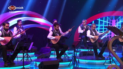 Selma Geçer Hastane Önünde İncir Ağacı