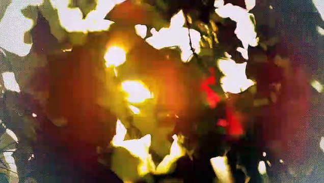 A vendre - Appartement - Bulle (1630) - 4.5 pièces - 107m²