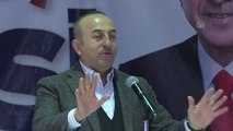 Çavuşoğlu: 