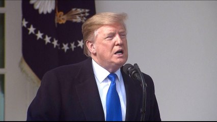 Trump declares a national emergency to build border wall