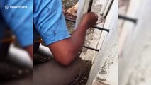 Indian man rescues kitten trapped in washing machine pipe