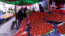 Tokat’ta domates tanzim satış fiyatından satılıyor