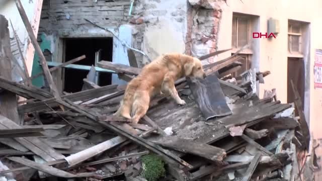 Balat'ta 3 Katlı Bina Çöktü 4