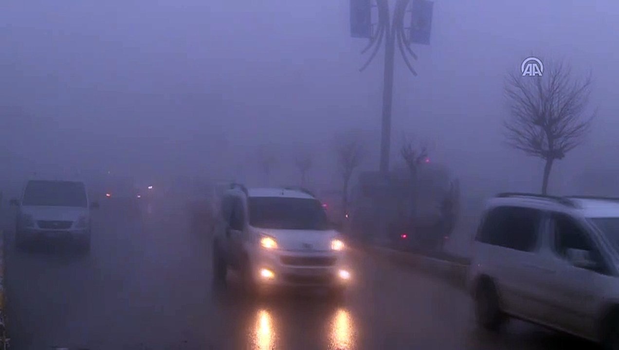 Yoğun sis ulaşımı olumsuz etkiledi - ŞIRNAK
