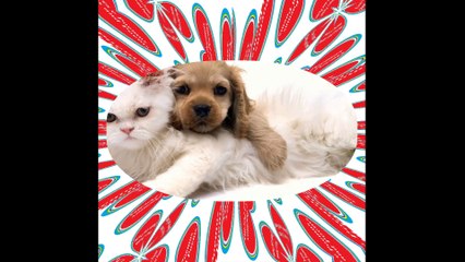 Feliz em fazer parte da vida de alguém tão especial [Frases e Poemas]