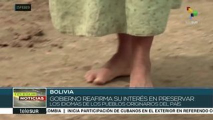 Tres de los 36 pueblos indígenas en Bolivia se habrían extinguido