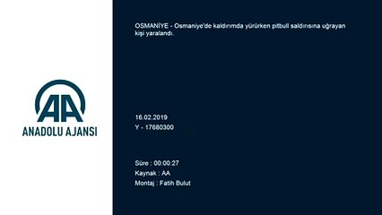 Osmaniye’de pitbullun saldırdığı kişi yaralandı