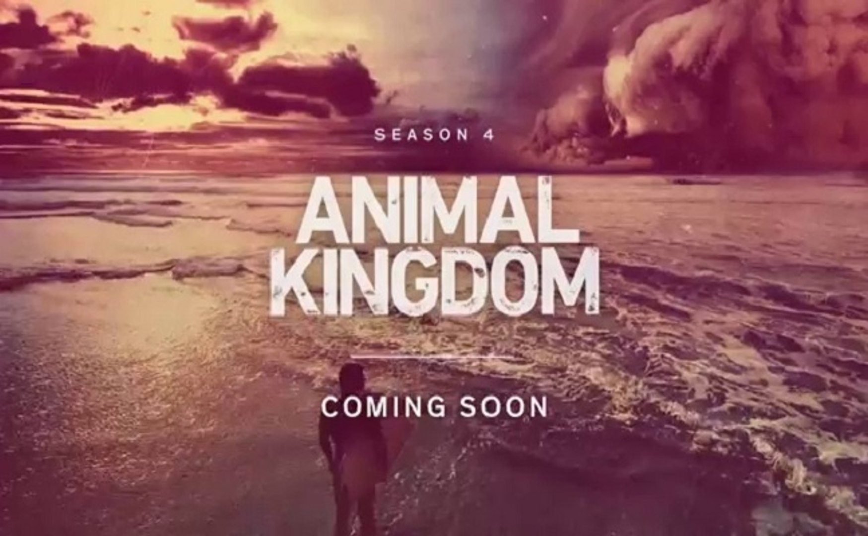 Animal Kingdom - Trailer Season 4 - Vidéo Dailymotion