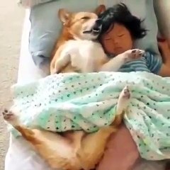 Mdr !! Découvrez le meilleur complice de ce bébé