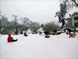 Quand un rat sort de nulle part sur la piste de luge