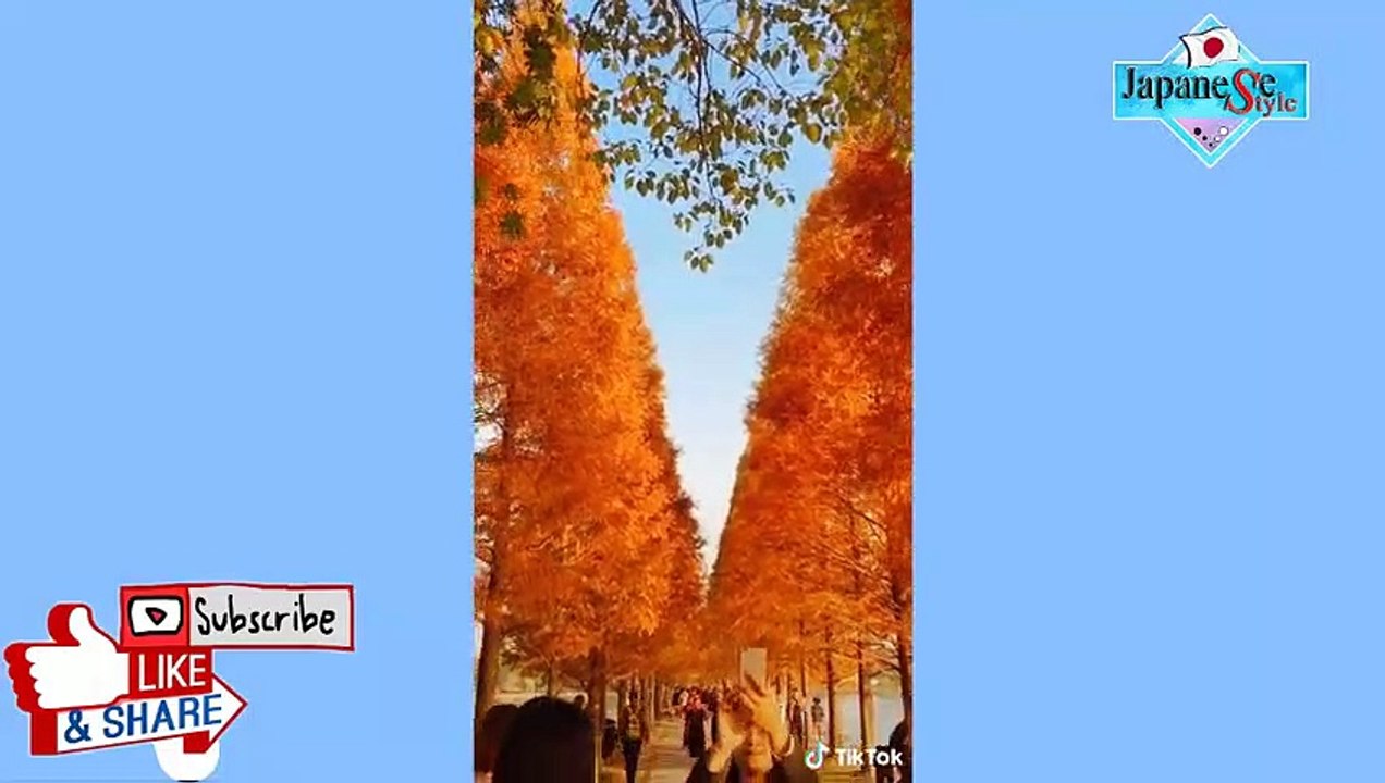 Japan Tik Tok  I love Japanese Style #88