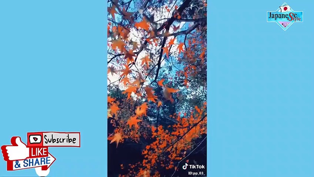 Tik Tok Japan 日本のティックトック学校 | Japan High School Tik Tok #7