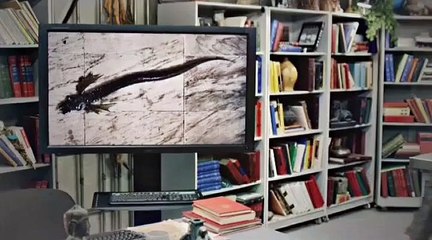 Dr. Daniel Jackson'ın Sunumuyla Stargate 101