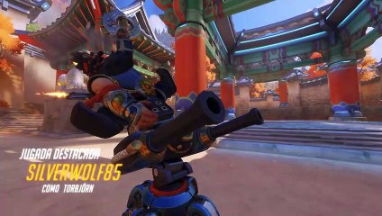 Overwatch Año Lunar del Cerdo 64