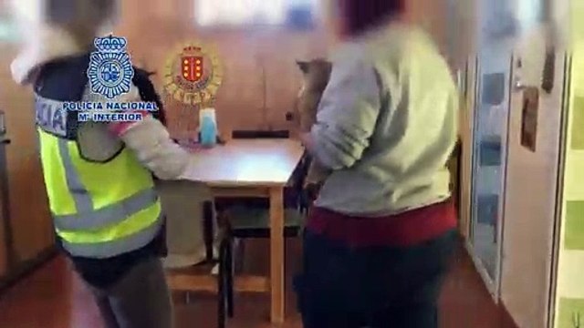 Rescatados doce chihuahuas de un criadero ilegal