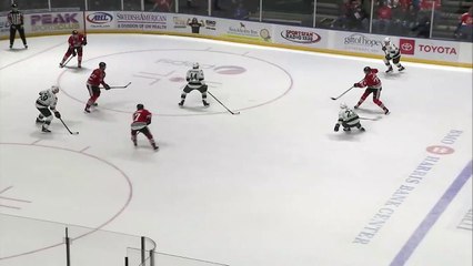 Iowa Wild (4) Vs. Rockford IceHogs (5)