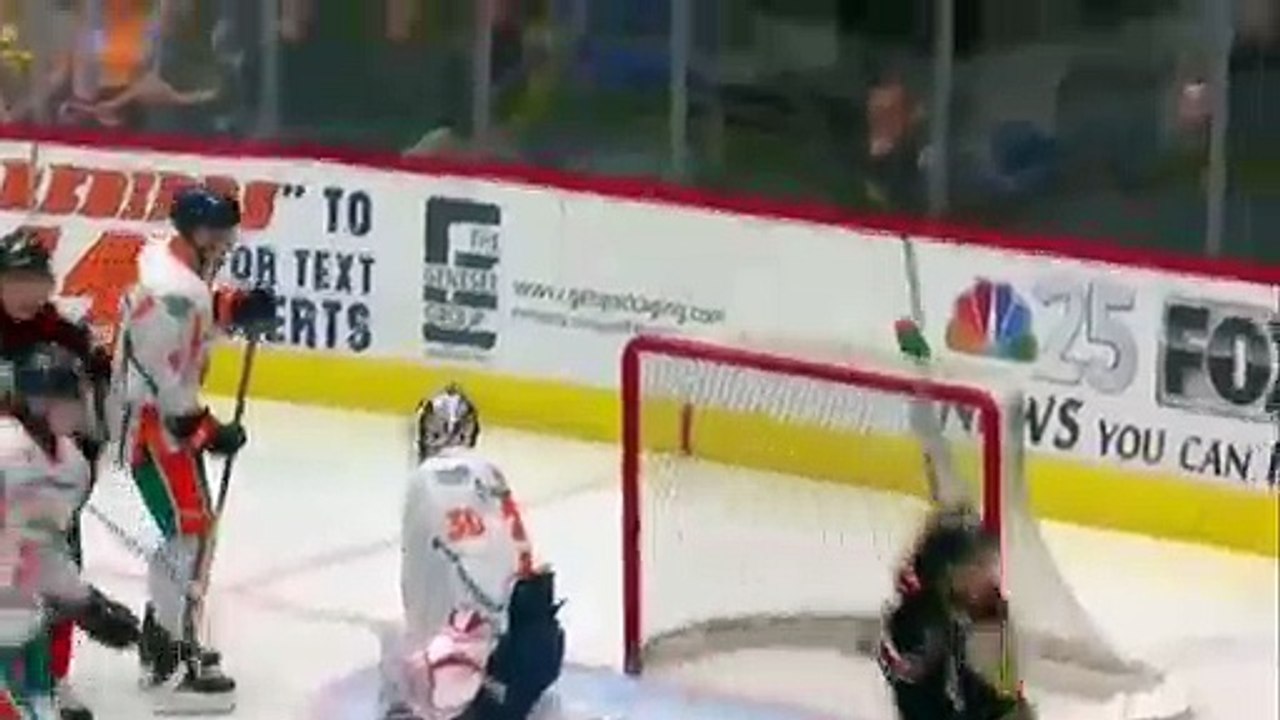 OHL Owen Sound Attack at Flint Firebirds – OT