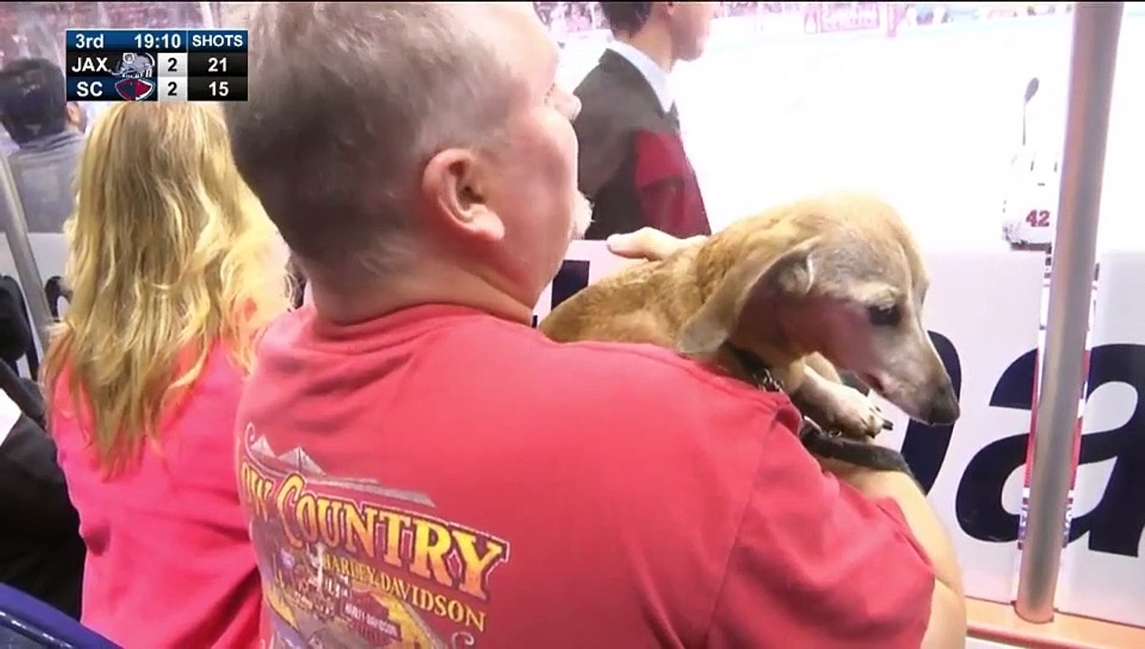 ECHL Jacksonville Icemen 3 at South Carolina Stingrays 2