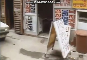 #토토솔루션분양 #토토사이트만들기 #스포츠토토제작