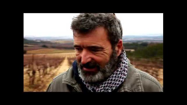 Capital montre pourquoi 15% des aliments bio peuvent contenir des pesticides