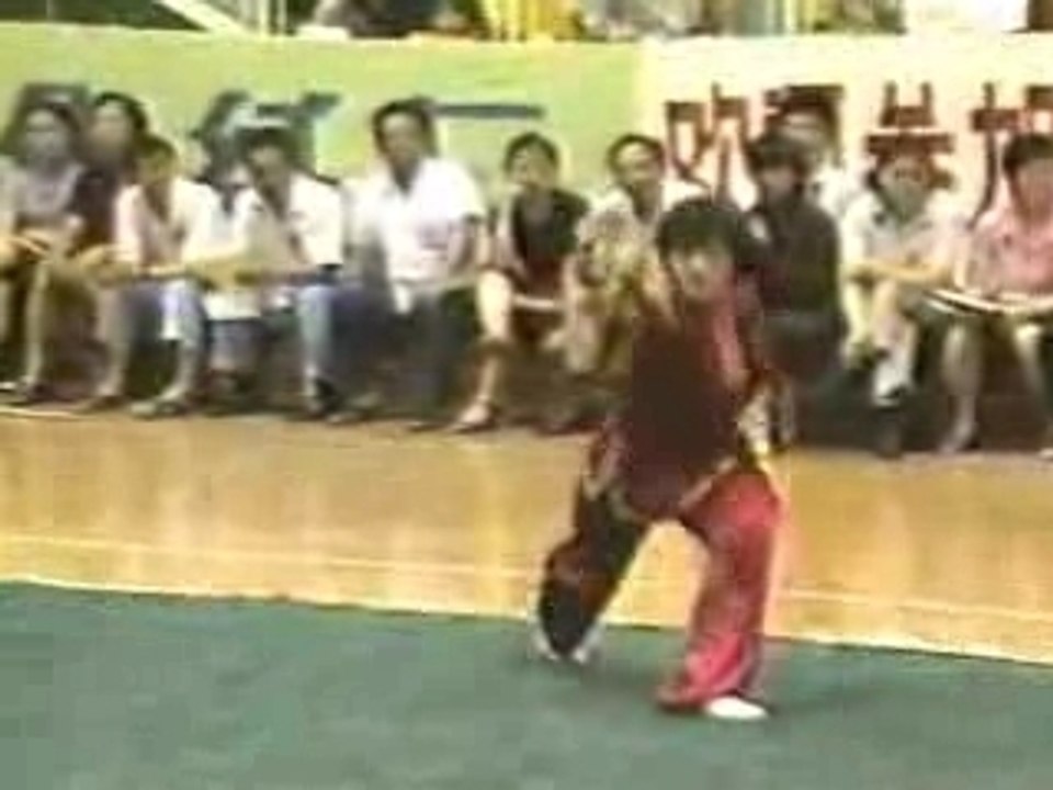 Fanzi quan