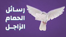رسائل الحمام الزاجل