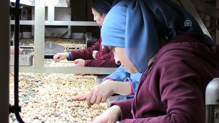 FİSKOBİRLİK'ten yüzde 30 büyüme hedefi - GİRESUN