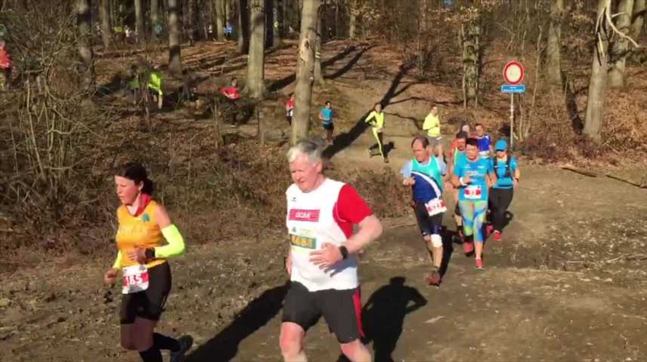 Jogging la printanière 2019 ( Namur )