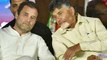 Will Ap Cm Chandrababu Naidu Joins Rahul Gandhi's Meeting In Tirupati ?? | Oneindia Telugu