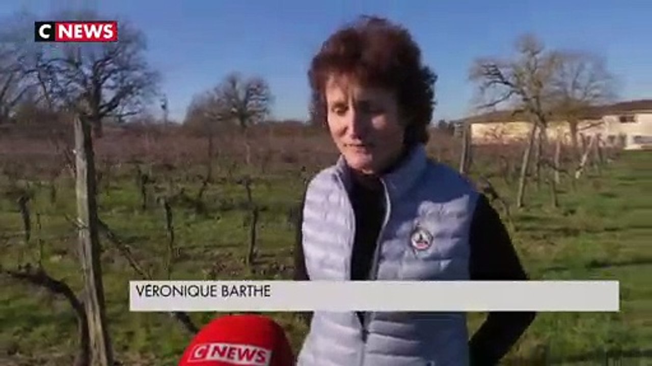 Être une femme chez les vignerons