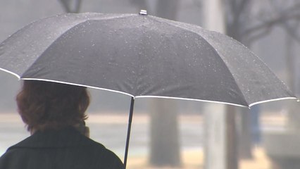 [날씨] 이번 주 완연한 봄 기운...'우수'에 해갈 단비 / YTN