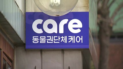 '케어' 내부고발자는 업무배제...박소연 대표는 자리 유지 / YTN