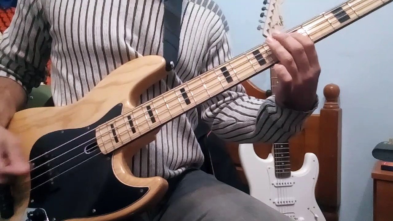 Blink182 - The Rock Show (Cover Bass)